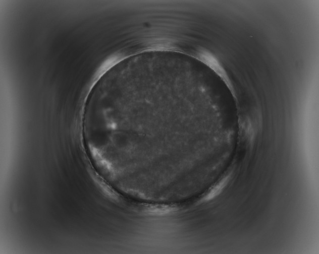 X0000084521002200703231626