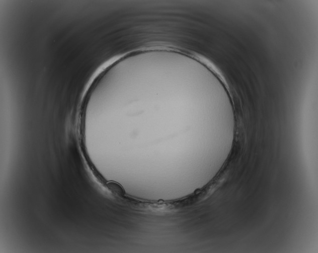 X0000084521003200703231626