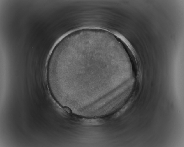 X0000084521004200703231626