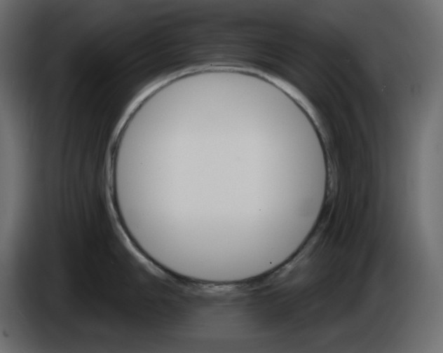 X0000084521006200703231626