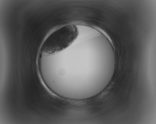 X0000084521007200703231626