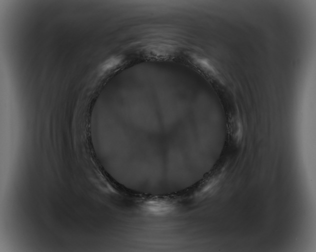 X0000084521009200703231626