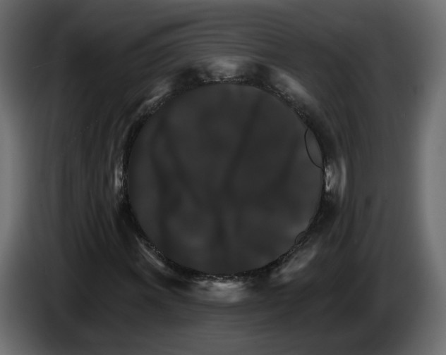 X0000084521011200703231626
