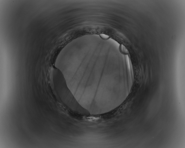 X0000084521013200703231626