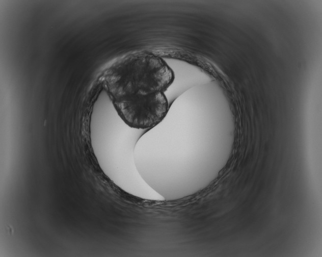 X0000084521016200703231626