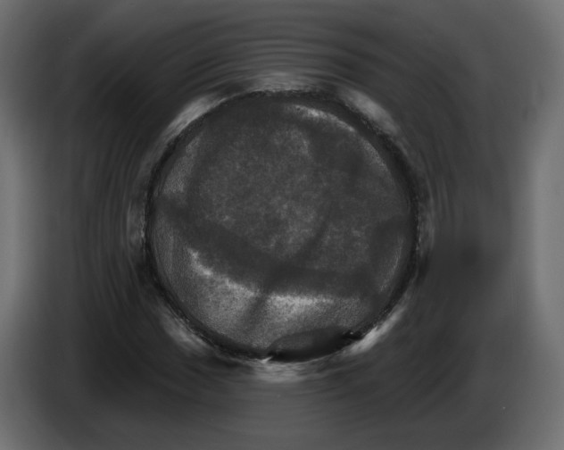 X0000084521017200703231626