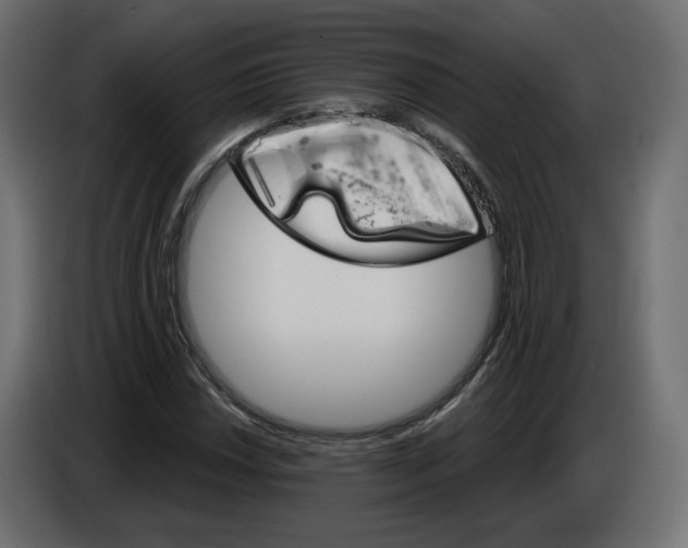 X0000084521018200703231626