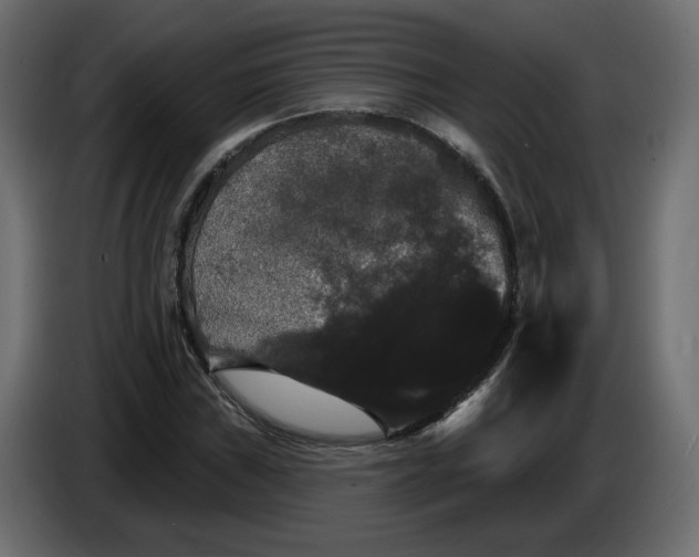 X0000084521019200703231626