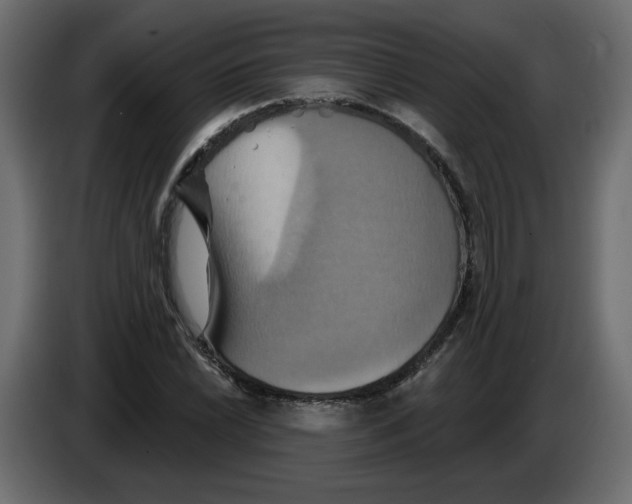 X0000084521022200703231626