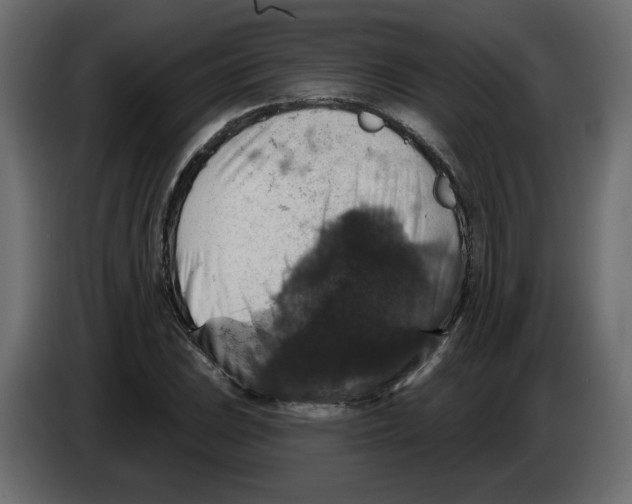 X0000084521023200703231626