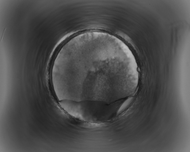 X0000084521024200703231626