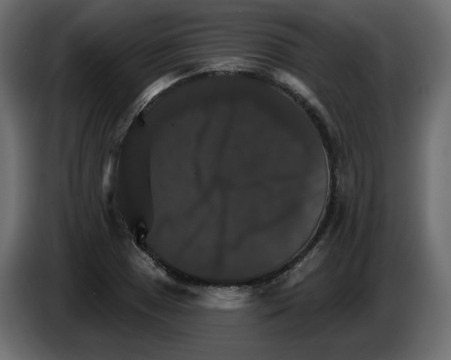 X0000084521025200703231626