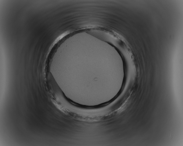 X0000084521026200703231626
