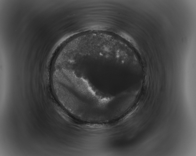 X0000084521027200703231626