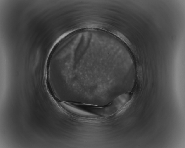 X0000084521028200703231626