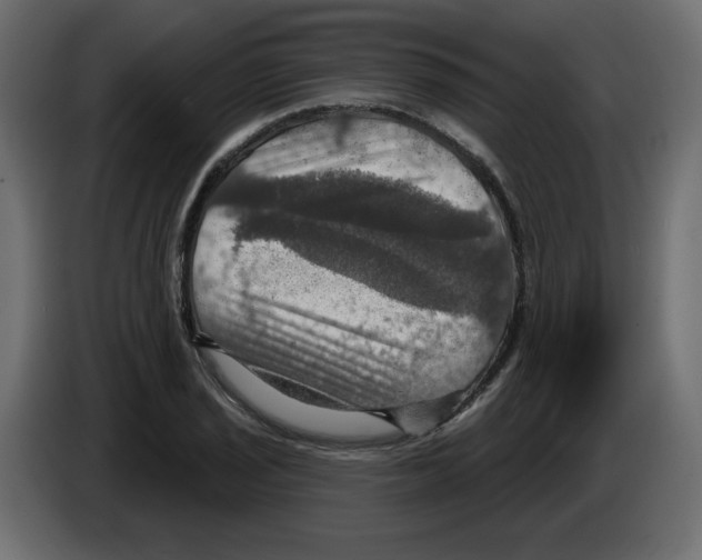 X0000084521029200703231626