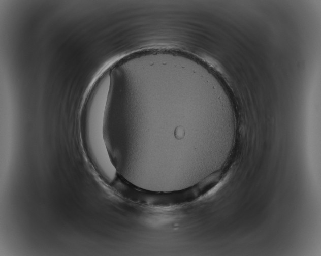 X0000084521030200703231626