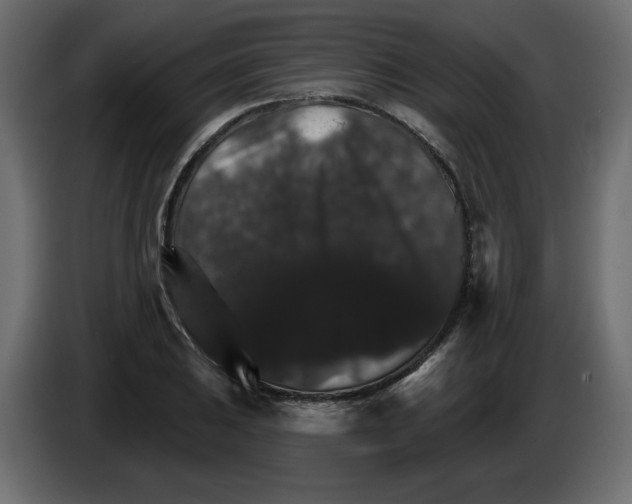 X0000084521031200703231626