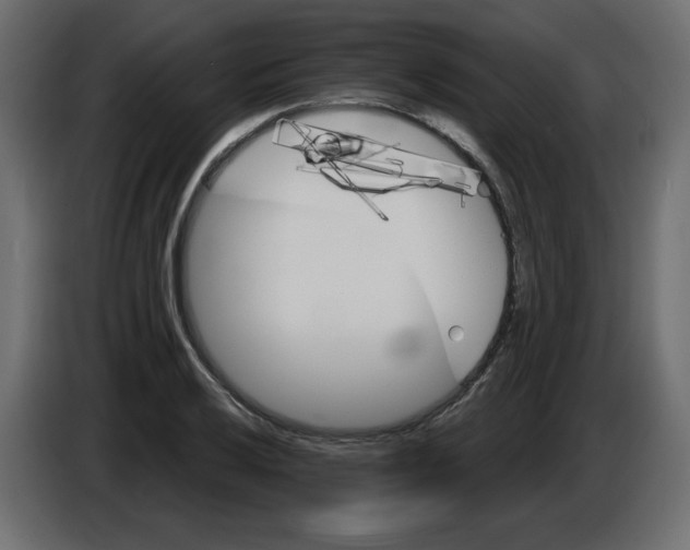 X0000084521032200703231626