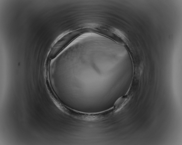 X0000084521034200703231626
