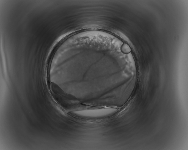 X0000084521035200703231626