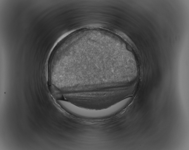 X0000084521036200703231626