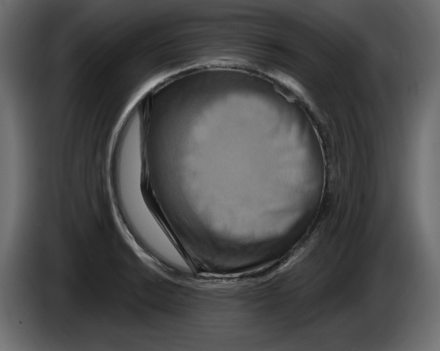 X0000084521038200703231626