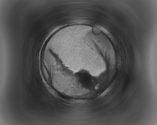 X0000084521039200703231626