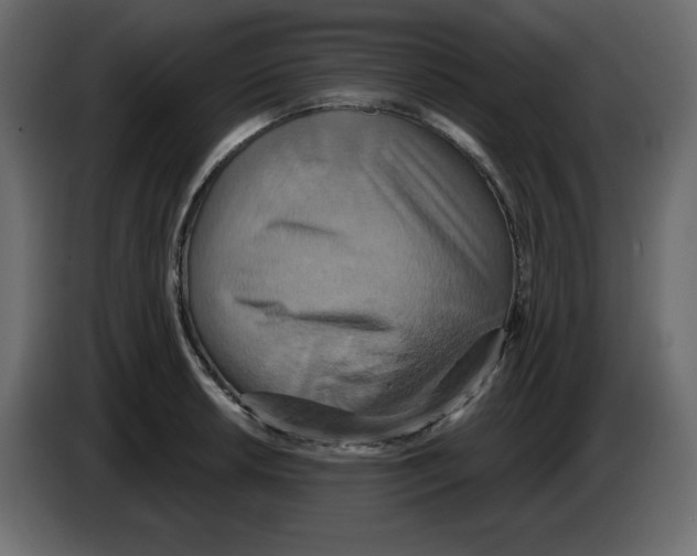 X0000084521042200703231626