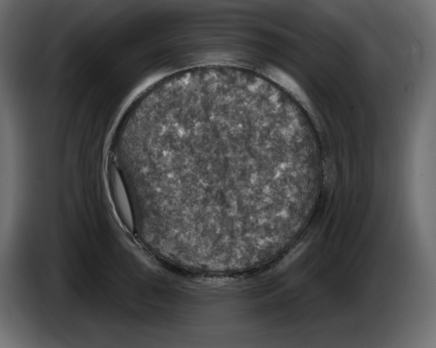 X0000084521043200703231626