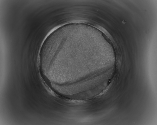 X0000084521044200703231626