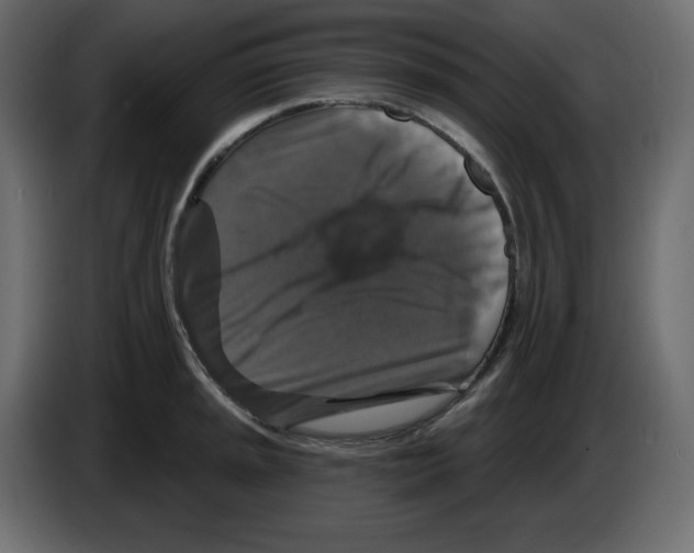 X0000084521045200703231626