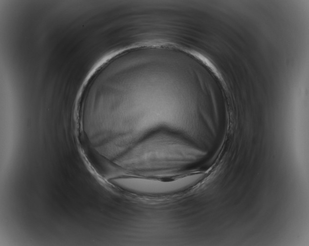 X0000084521046200703231626