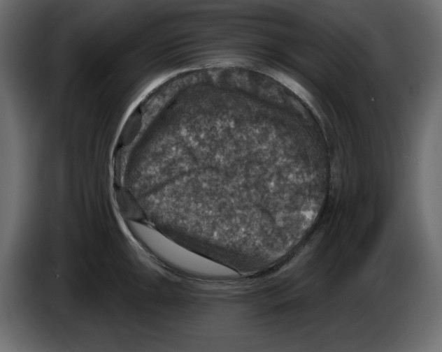 X0000084521047200703231626