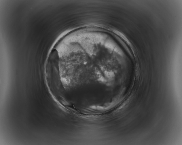 X0000084521048200703231626