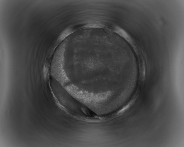 X0000084521049200703231626