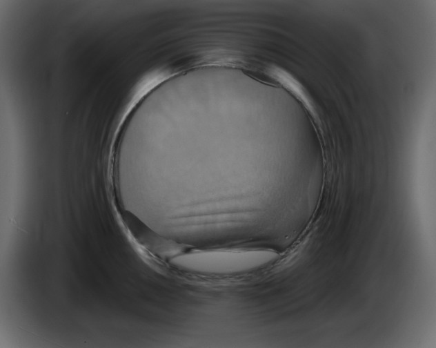X0000084521050200703231626