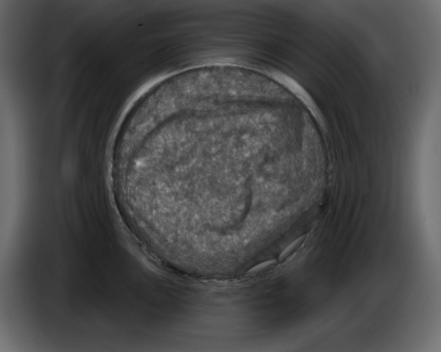 X0000084521051200703231626
