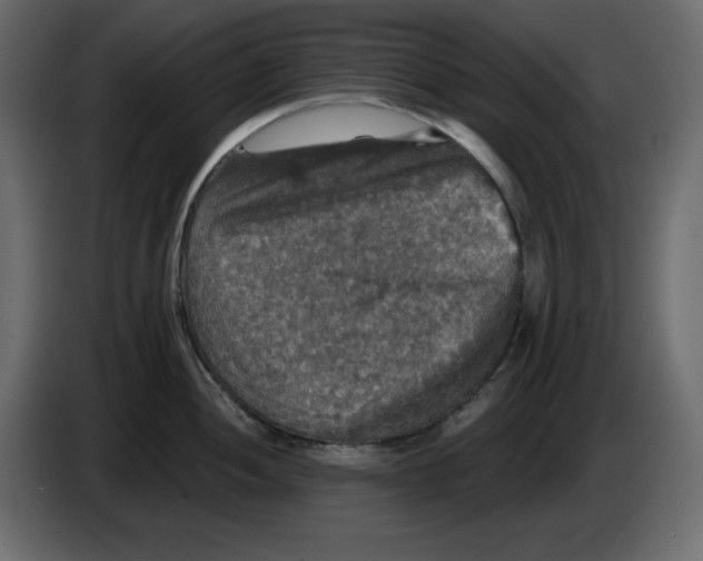 X0000084521052200703231626