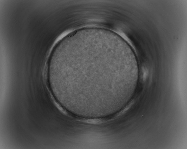 X0000084521053200703231626