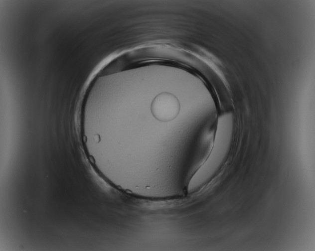 X0000084521054200703231626
