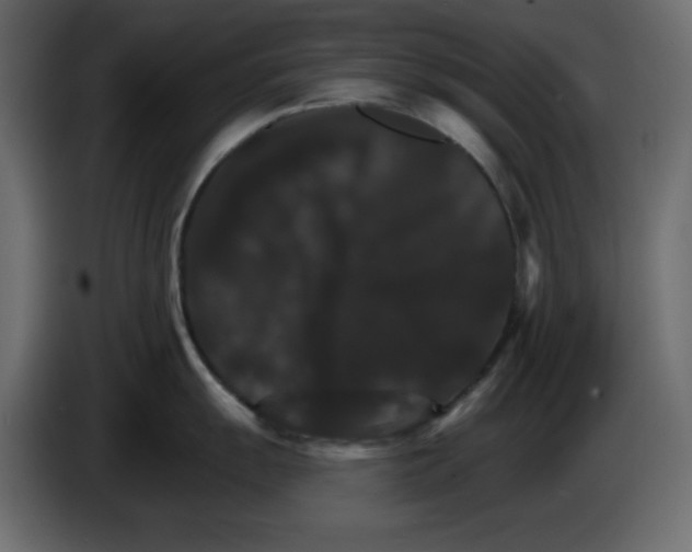 X0000084521055200703231626