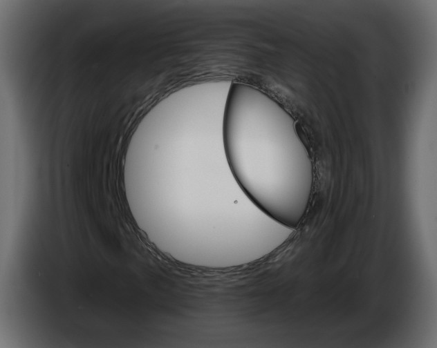 X0000084521057200703231626
