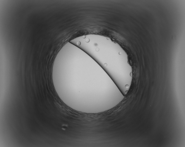 X0000084521058200703231626