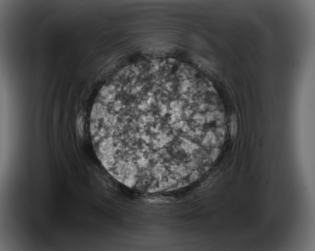 X0000084521059200703231626