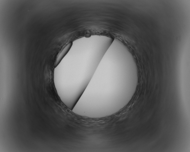 X0000084521061200703231626