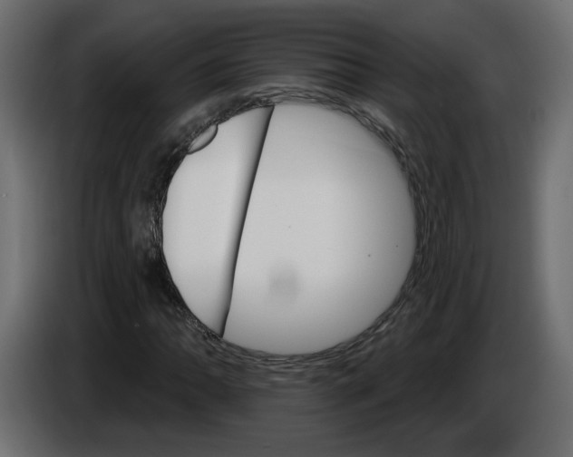 X0000084521062200703231626