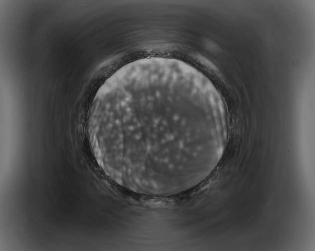 X0000084521063200703231626