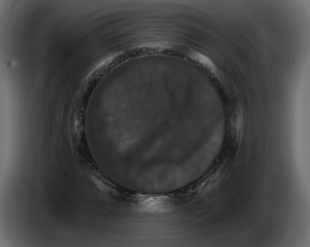 X0000084521064200703231626