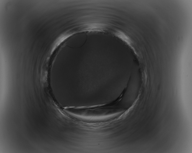 X0000084521066200703231626